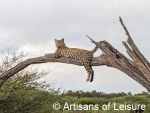 luxury Botswana safaris