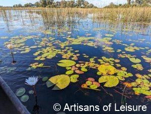 luxury Botswana safaris