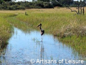 luxury Botswana safaris