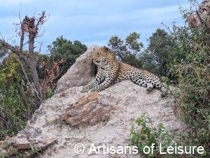 luxury Botswana safaris