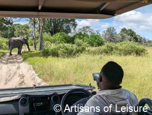 luxury Botswana safaris
