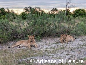 luxury Botswana safaris