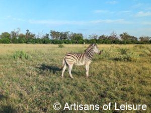 luxury Botswana safaris
