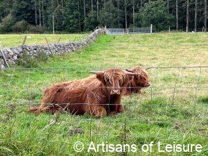 Royal Deeside private tours