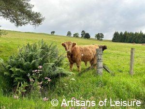 Royal Deeside private tours