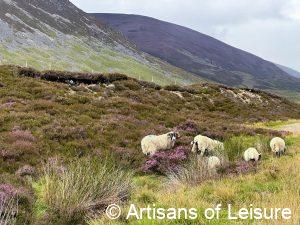 Royal Deeside private tours