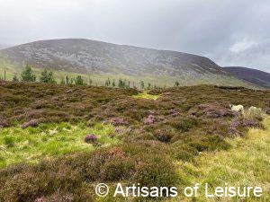Royal Deeside private tours