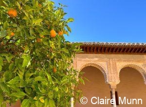 private Granada tours