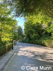 private Granada tours