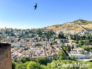 private Granada tours