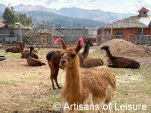 Highlights of Peru
