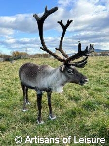 Swedish Lapland highlights