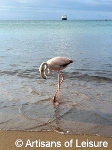 Galapagos Islands