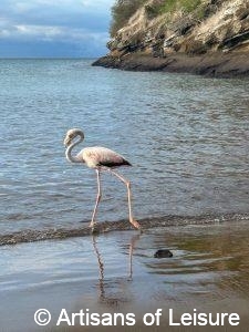 Galapagos Islands