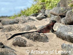 Galapagos Islands