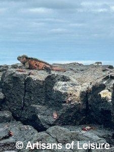 Galapagos Islands
