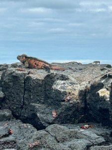 Galapagos Islands