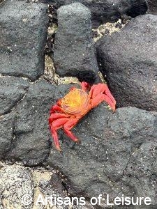Galapagos Islands