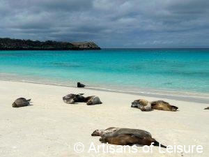 Galapagos Islands