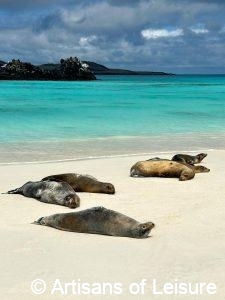 Galapagos Islands