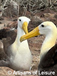 Galapagos Islands