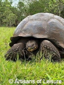 Galapagos Islands