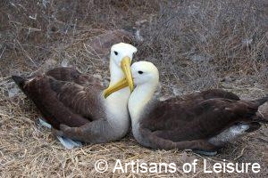 Galapagos Islands