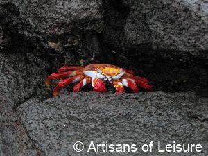 Galapagos Islands