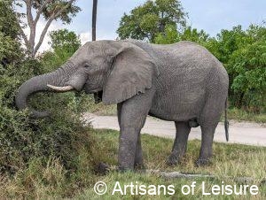 luxury Botswana safaris