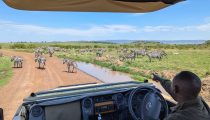 Just Back: Incredible Luxury Safaris in Africa