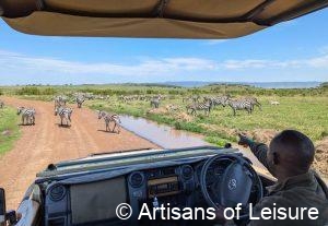 luxury safaris in Africa