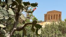 Ancient Greek Ruins in the Valley of the Temples, Sicily
