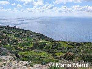 private Malta tours