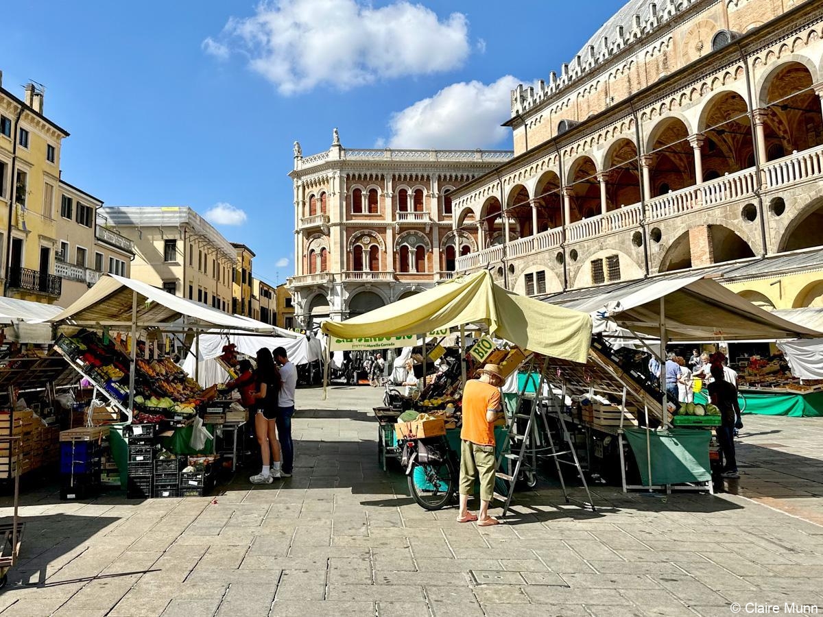 private Padua tours