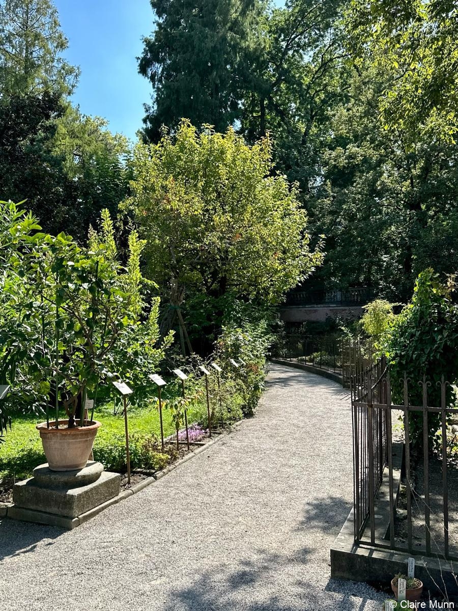 private Padua tours