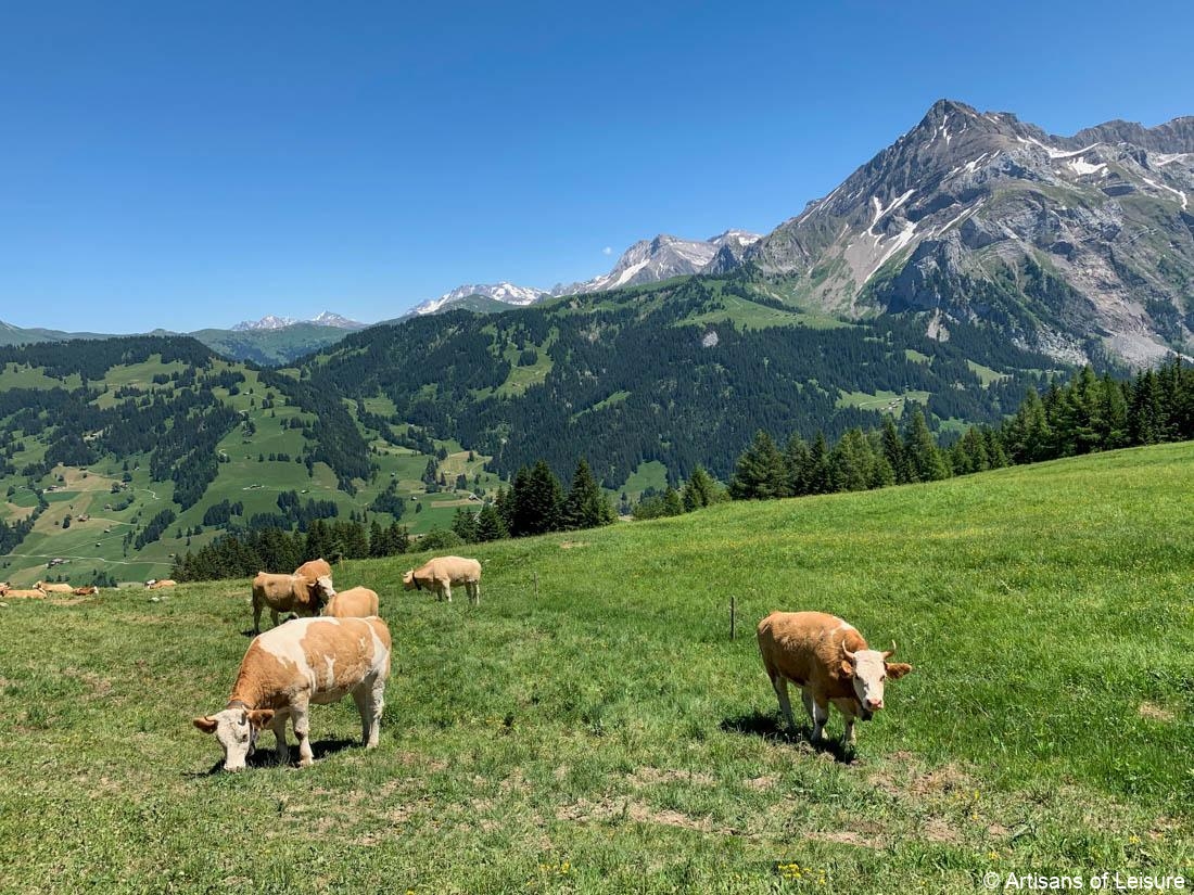coolcations for summer travel