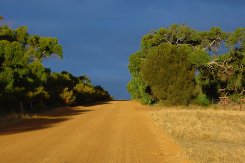 145-Kangaroo-Island-road.jpg