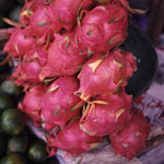 238-photo_dragonfruit.jpg