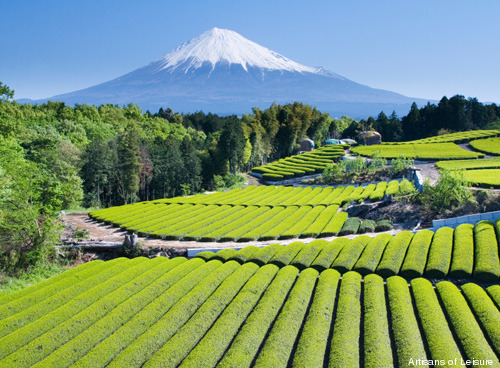 354-Mt.-Fuji-with-tea.jpg