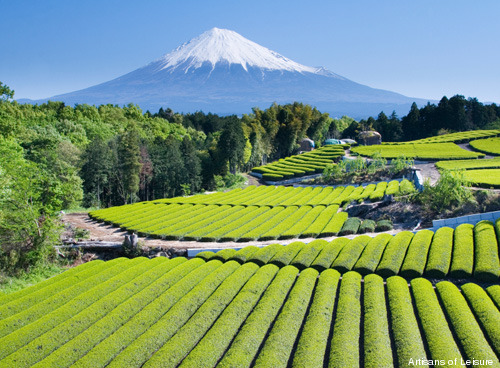 354-Mt.-Fuji-with-tea.jpg