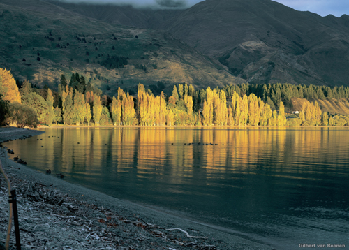 368-Wanaka-autumn_cropped_500px.jpg