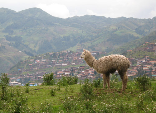 456-(c)Artisans_Cusco-and-the-Urubamba-Vall.jpg