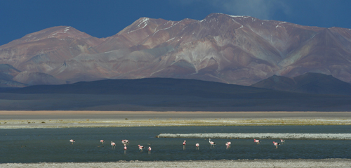 472-Atacama_Awasi_8_500px.jpg