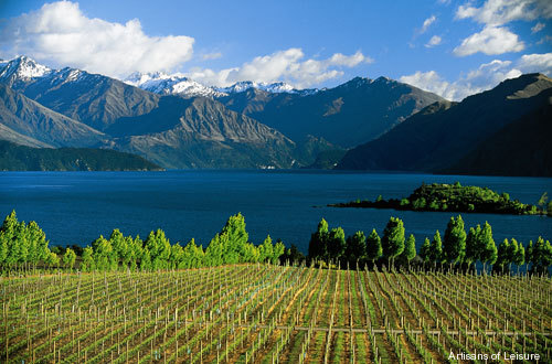 592-NZ_vineyards.jpg