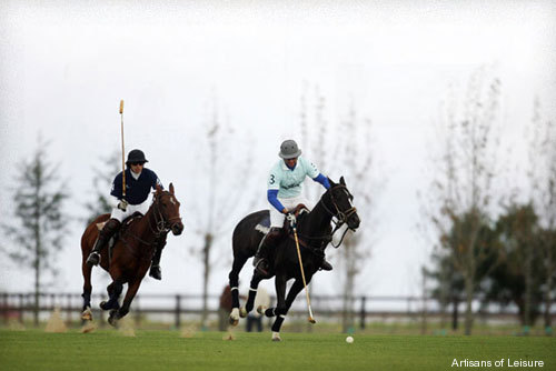 641-polo.jpg