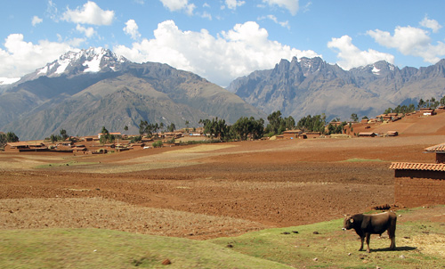 755-Chinchero.jpg