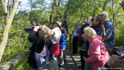 811-Ohio_birding.jpg