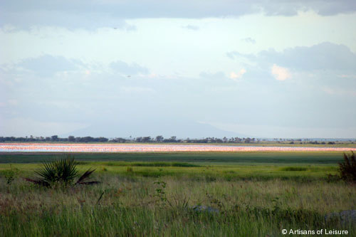 818-Lake_Manyara_Flamingoes.jpg